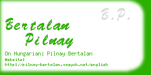 bertalan pilnay business card